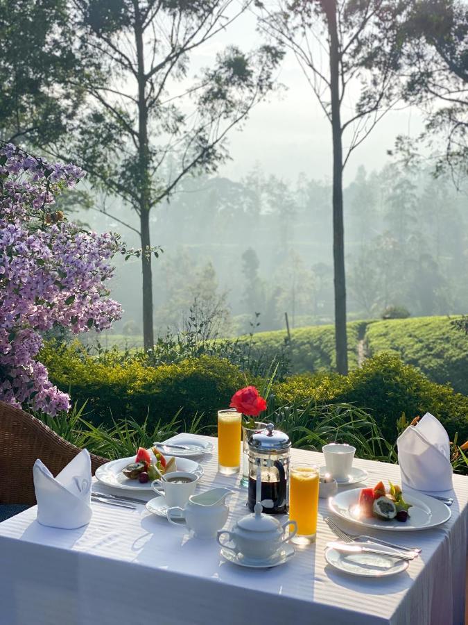 Ceylon Tea Trails - Relais And Chateaux 哈顿 外观 照片
