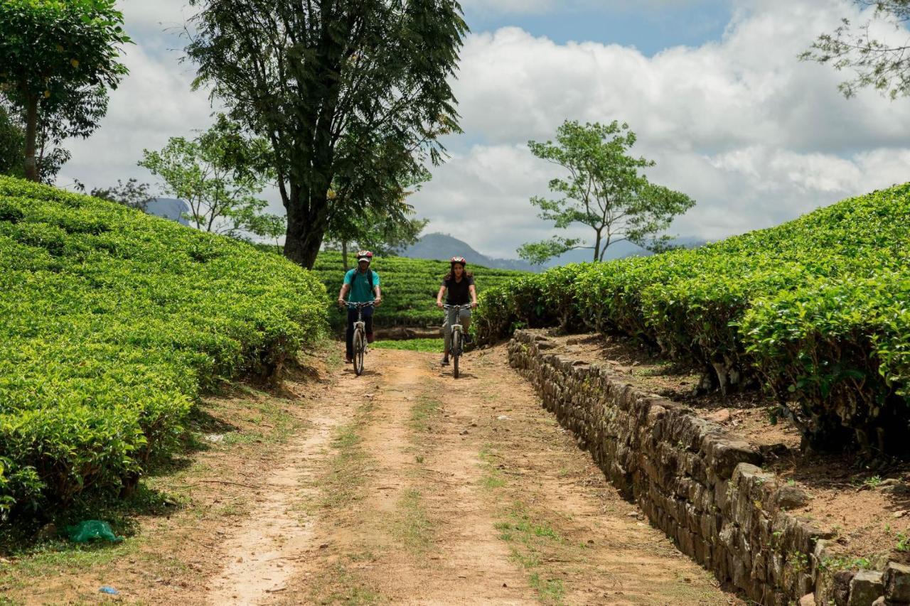 Ceylon Tea Trails - Relais And Chateaux 哈顿 外观 照片