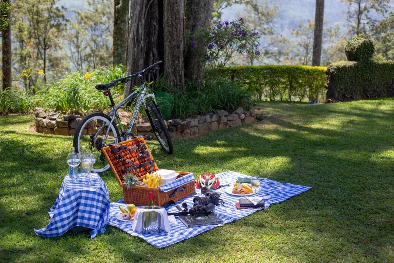 Ceylon Tea Trails - Relais And Chateaux 哈顿 外观 照片