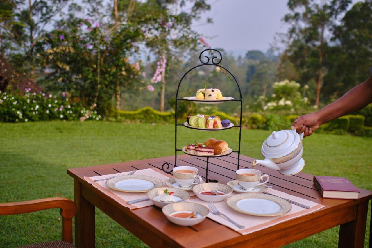 Ceylon Tea Trails - Relais And Chateaux 哈顿 外观 照片